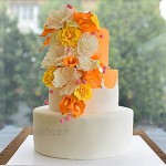 SUPGOMAX Plateau à gâteau à 5 étages avec 35 supports à gâteau présentoir à gâteau plateau de séparation pour gâteau à plusieurs étages gâteau d'anniversaire de mariage