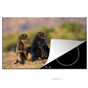 MuchoWow Protège-Plaque à Induction Famille de babouins à l'affût 80x52 cm