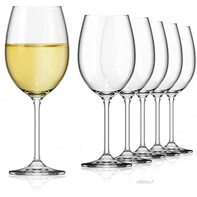 SAHM Verre à Vin Blanc | Verre a Vin Original 450ml | Lot de 6 Verres à Vin Blanc | Verres a Vin Degustation |Durables & Lavable au Lave-Vaisselle