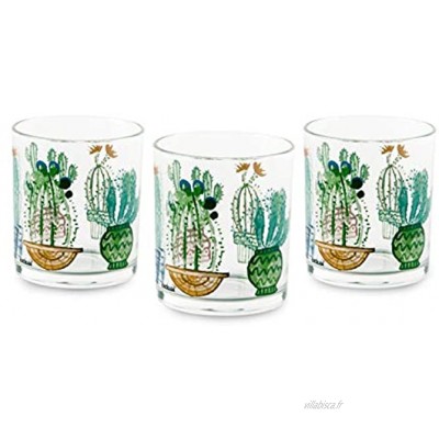 Excelsa Cactus Lot de 3 verres en verre